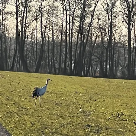 Am Mit Balkon Seenaehe Sehr Ruhige Lage *